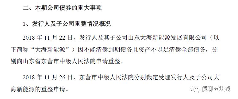 山东大海集团最新消息全面解读与分析