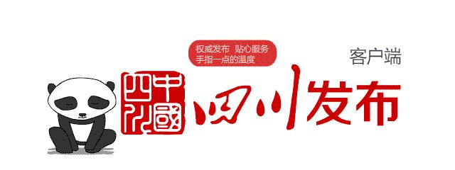 江安县数据和政务服务局最新发展规划深度解析