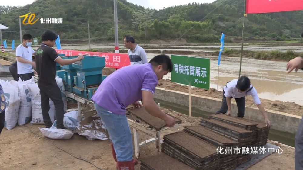 那务镇最新项目，地区发展新动力引领者