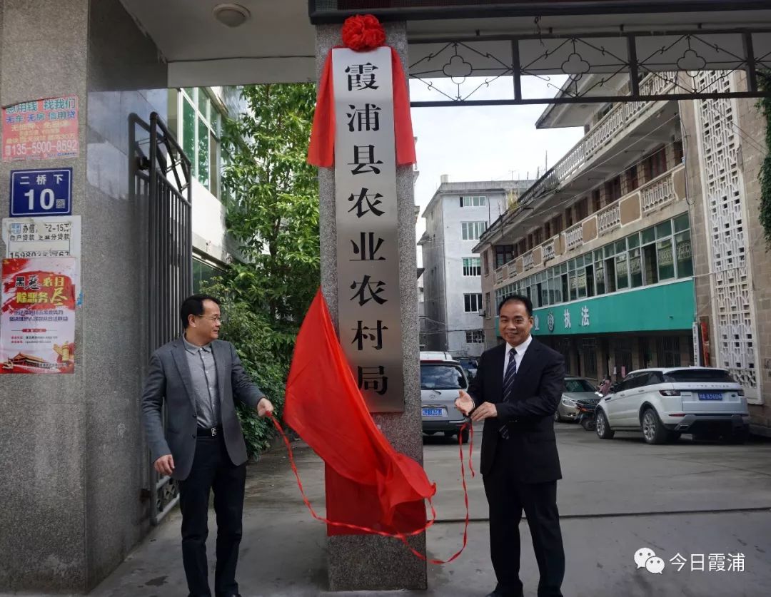 仙游县发展和改革局最新项目进展动态