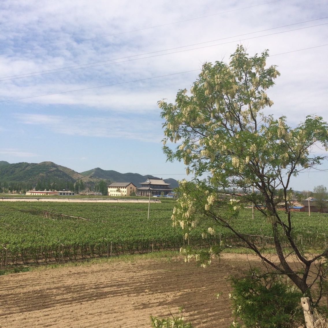 小门家镇天气预报更新通知