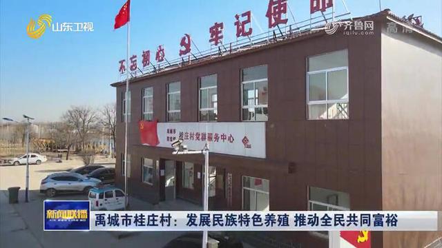 小鸭村委会最新新闻动态报道