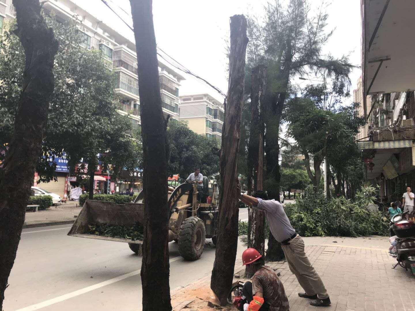 广安市市政管理局最新发展规划概览