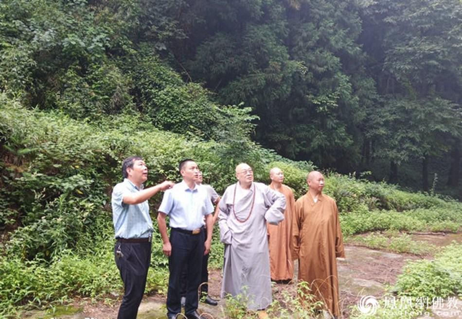 南岳区自然资源和规划局最新动态报道