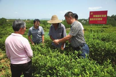 木门镇领导团队引领地方发展新篇章