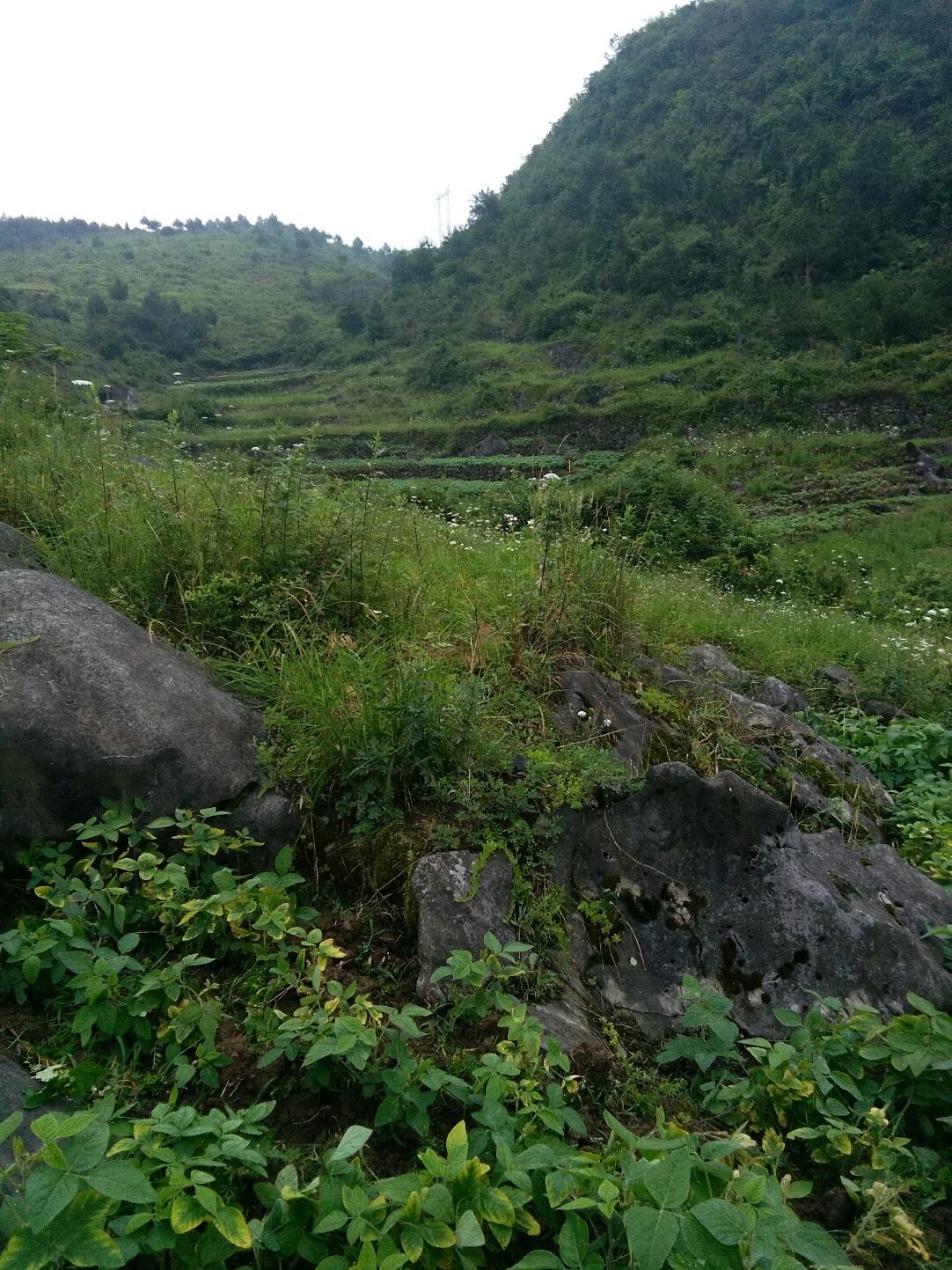 雨中漫步 第2页