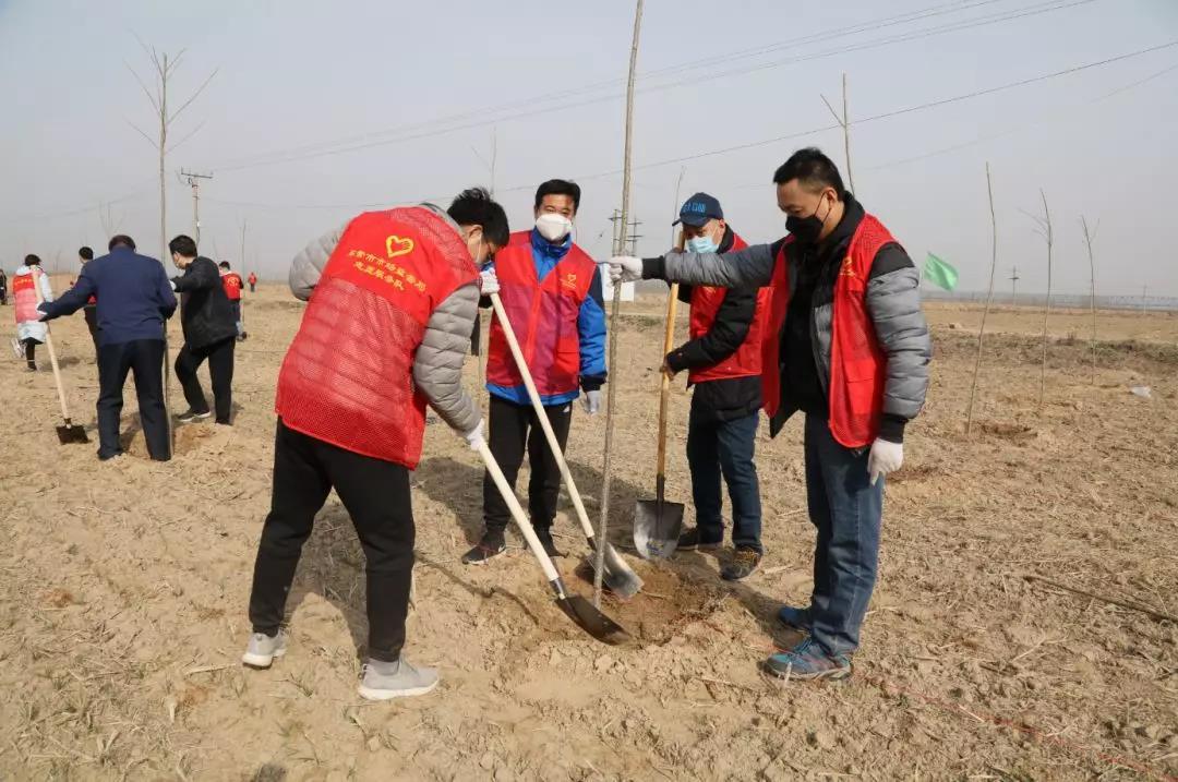 东营区市场监管局最新发展规划概览