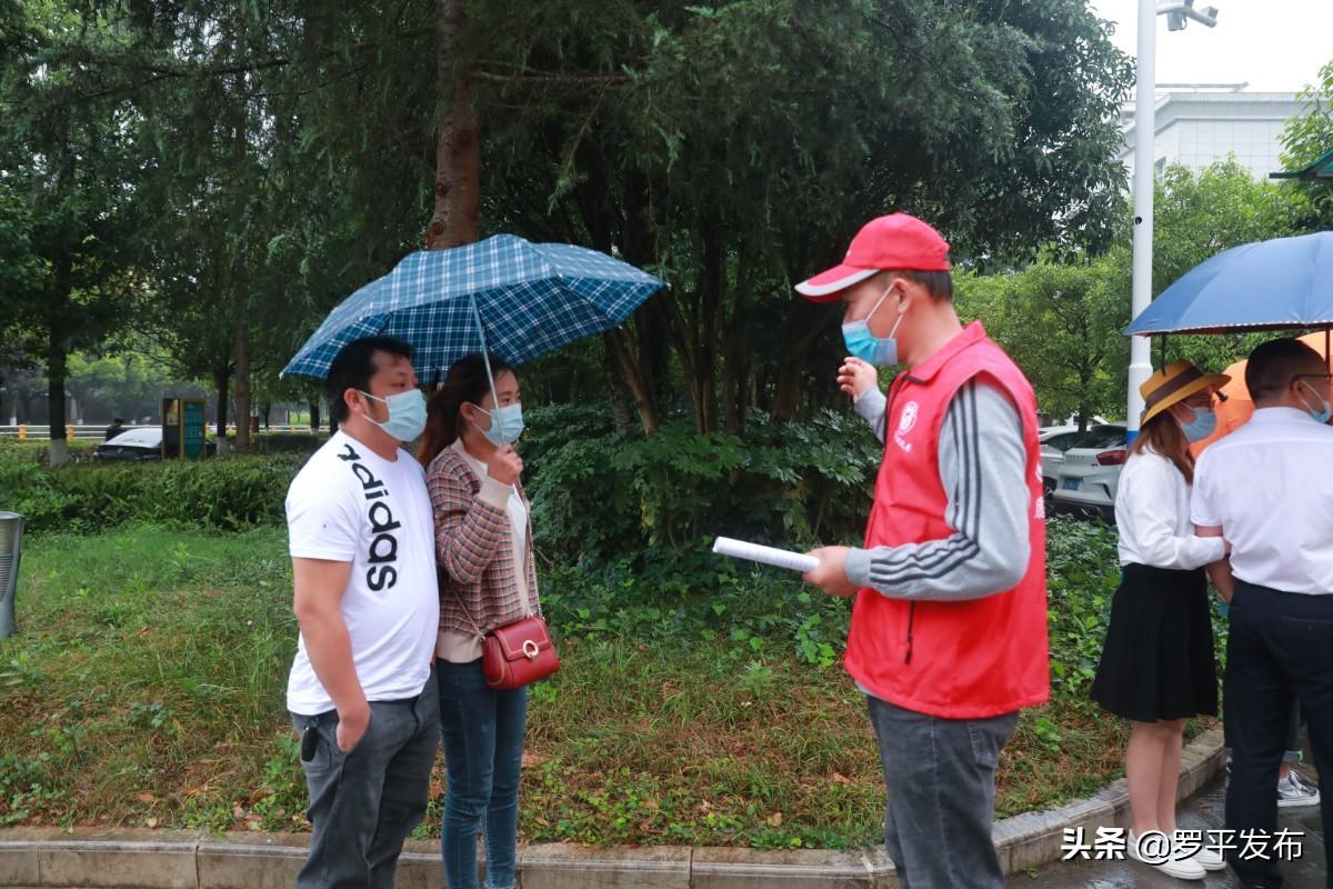 罗平县数据和政务服务局最新动态报道