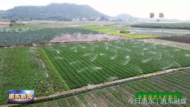 前进区农业农村局最新发展规划概览