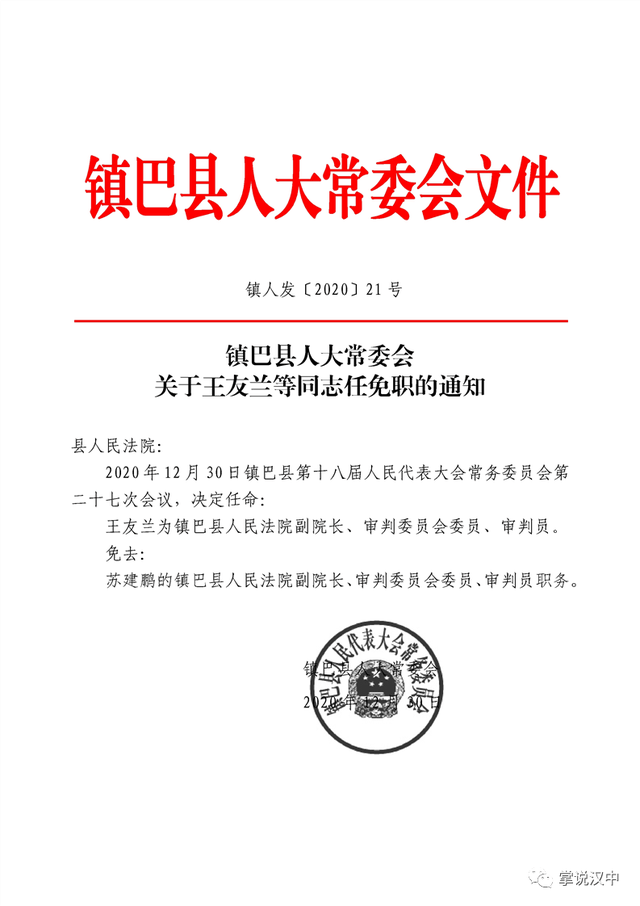 寨子村委会最新人事任命，推动村级治理上新台阶