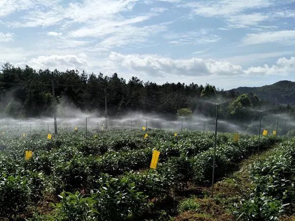 凤冈县水利局新项目推动水利建设助力地方经济腾飞