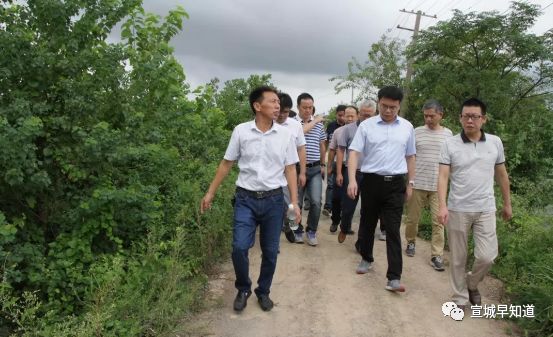 养贤乡新项目，引领地方发展的强大新动力