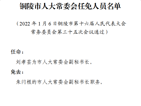 铜陵市市劳动和社会保障局最新人事任命，塑造未来，引领发展